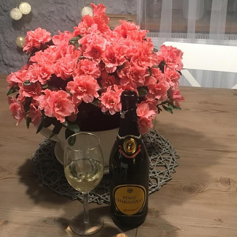 Pensjonat Placówka Wydminy Zewnętrze zdjęcie